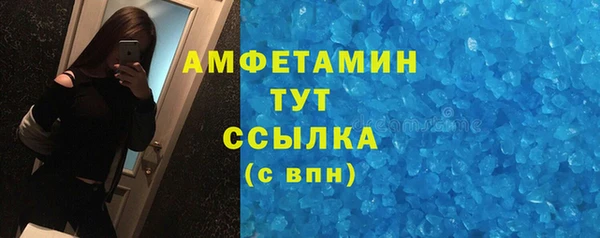 молекула духа Бородино