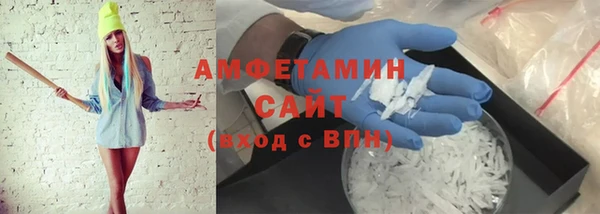 молекула духа Бородино