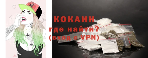 индика Верея