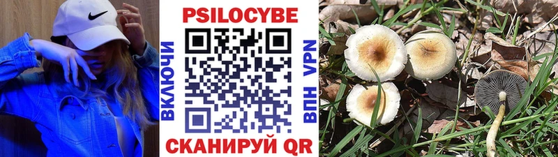 Галлюциногенные грибы Magic Shrooms  Сретенск 